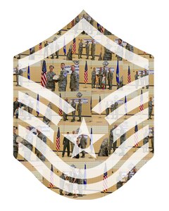 Members of Joint Base Langley-Eustis, Va., congratulated approximately 70 U.S. Air Force technical sergeants selected for promotion to the rank of master sergeant during a ceremony at Langley Air Force Base, Va., July 16, 2015. This was the first master sergeant promotion cycle to incorporate a two-phase selection process. The process included a phase I score based on Weighted Airman Promotion System factors, then eligible Airmen were selected for promotion during the phase II central evaluation board. (U.S. Air Force graphic by Senior Airman Aubrey White/Released)