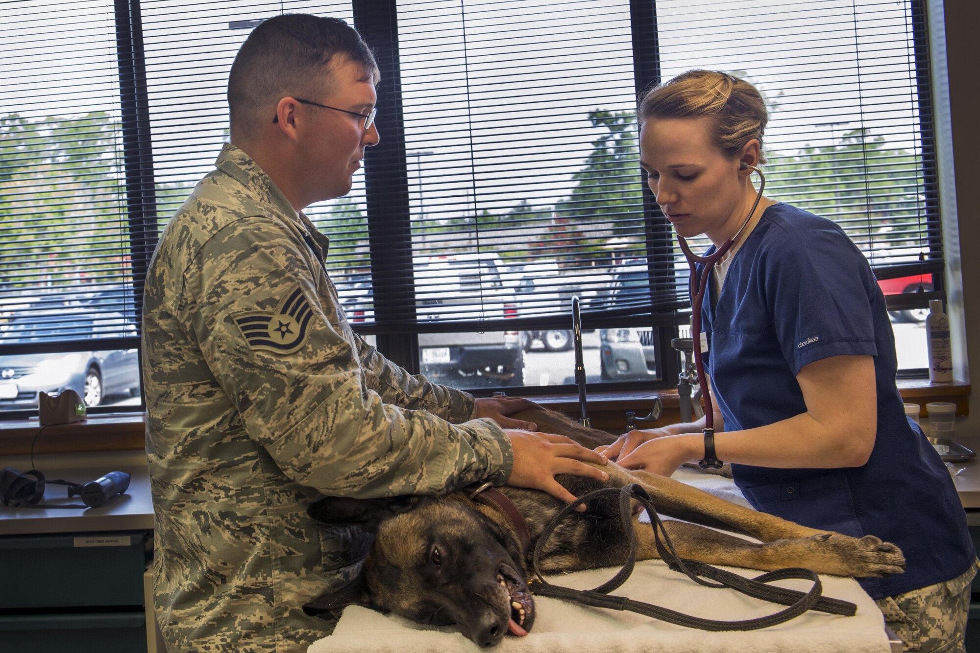 Staff Sgt. Erik Smith, a 822nd Base Defense Squadron military working dog handler, holds down MWD, Celo, while Army Capt. (Dr.) Allison Brekke, the 23rd Aerospace Medicine Squadron officer in charge of veterinary services, listens for Celo’s heartbeat before surgery July 16, 2015, at Moody Air Force Base, Ga. Breeke inspected the working dog to ensure there would be no complications before beginning surgery. (U.S. Air Force photo/Airman 1st Class Dillian Bamman)