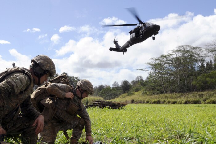 SCHOFIELD BARRACKS, Hawaii  (July 17, 2015) - Staff Sgt. Dustin Bussard (left), EOD team leader, 74th EOD Company, 303rd EOD Battalion, 8th Military Police Brigade, 8th Theater Sustainment Command, and his team wait for a Black Hawk to land during the U.S. Army-Pacific EOD Team of the Year competition held July 13-17, here. The team was one of four teams to compete in this year's weeklong competition hosted by the 303rd EOD Battalion.  