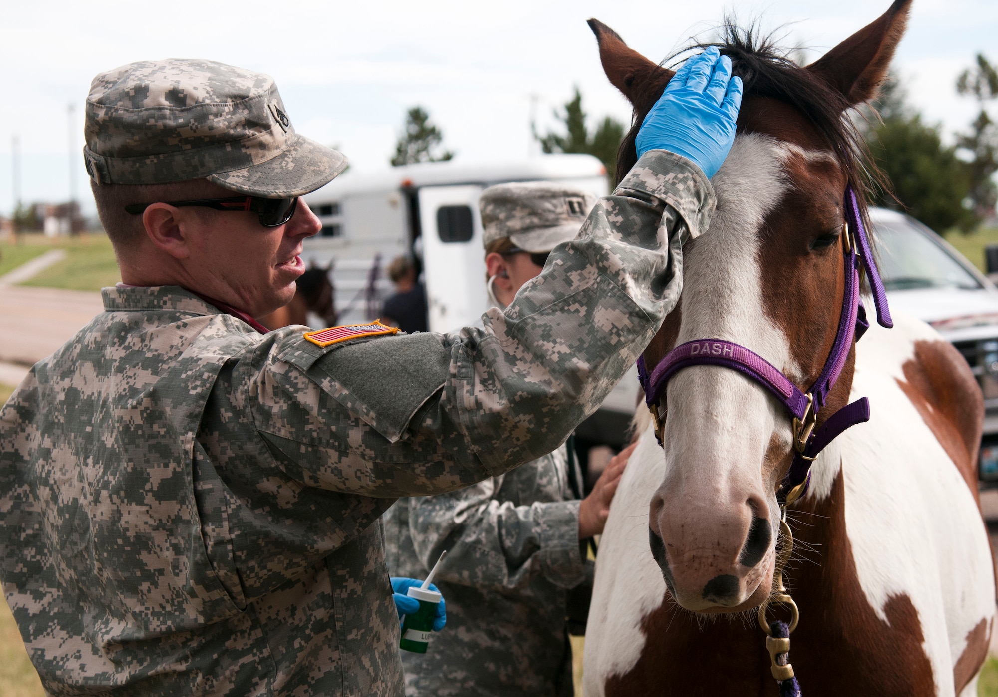 Army Staff Sgt. Seth Williams pets Dash while Dash gets examined before participating in Horses for Heroes on July17, 2015 At D.A. Russell Days. Williams has to wear gloves while working with horses due to allergies.(U.S. Air Force photo by Airman 1st Class Malcolm Mayfield)
