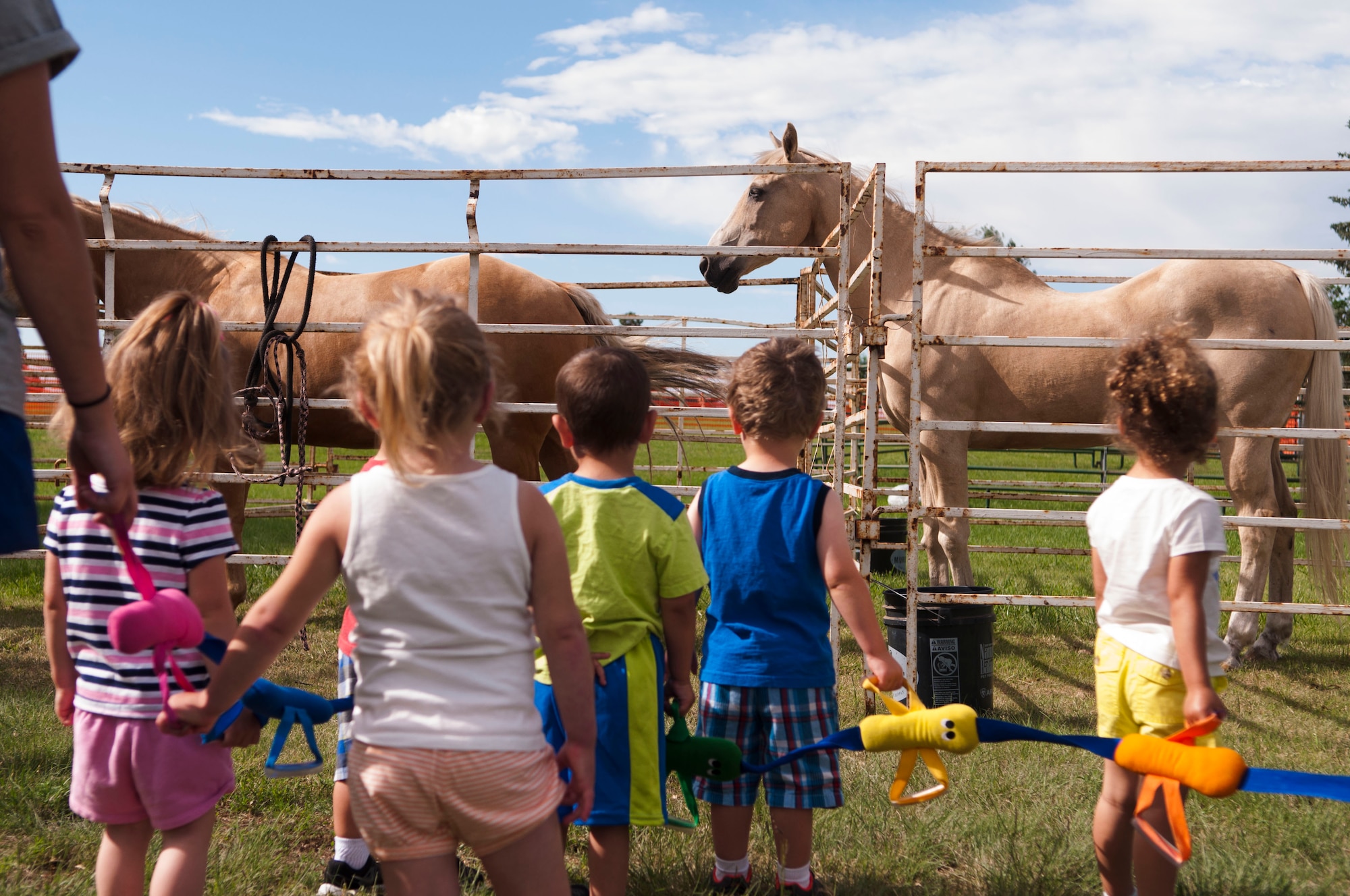 Two-year olds from F.E. Warren's Child Development Center and staff walked out to look at the horses in corrals at D.A. Russell Days on Friday, June 17, 2015. After visiting the horses the group went over to look at helicopters. (U.S. Air Force photo by Airman 1st Class Malcolm Mayfield)