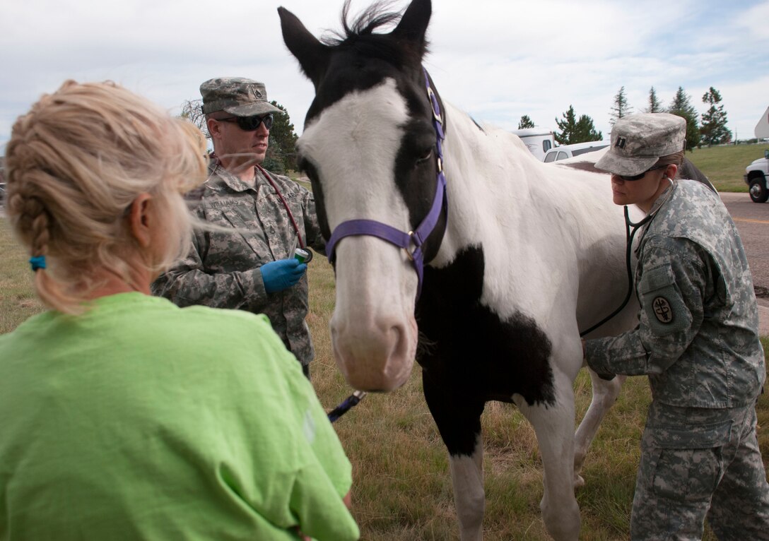 Anita LaFond, left, holds Bingo as Army Staff Sgt. Seth Williams, middle, and Army Capt. Shannon McLean, right, examine him before D.A.Russell Days kicked off on Friday morning, July 17, 2015. All horses participating in Horses for Heroes had to pass examination by the Army veterinarians. (U.S. Air Force photo by Katherine Oriez)
