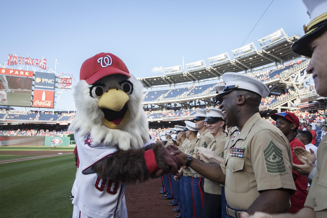 The Sergeant Major of the Marine Corps, Ronald L. Green, attends Marine Corps Day at National's Park, Washington, D.C., July 21, 2015.  (U.S. Marine Corps photo by Sgt. Melissa Marnell, Office of the Sergeant Major of the Marine Corps/Released)