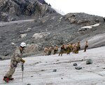 BLACK RAPIDS TRAINING SITE, Alaska (July 18, 2015) - From the snow-kissed mountains to the icy rumblings of melting glaciers, Marines from 2nd Platoon Force Reconnaissance Company, 1st Reconnaissance Battalion, Camp Pendleton, Calif., along with instructors from U.S. Army Alaska's Northern Warfare Training Center conducted military alpine operations at Black Rapids Training Site and Gulkana Glacier. 