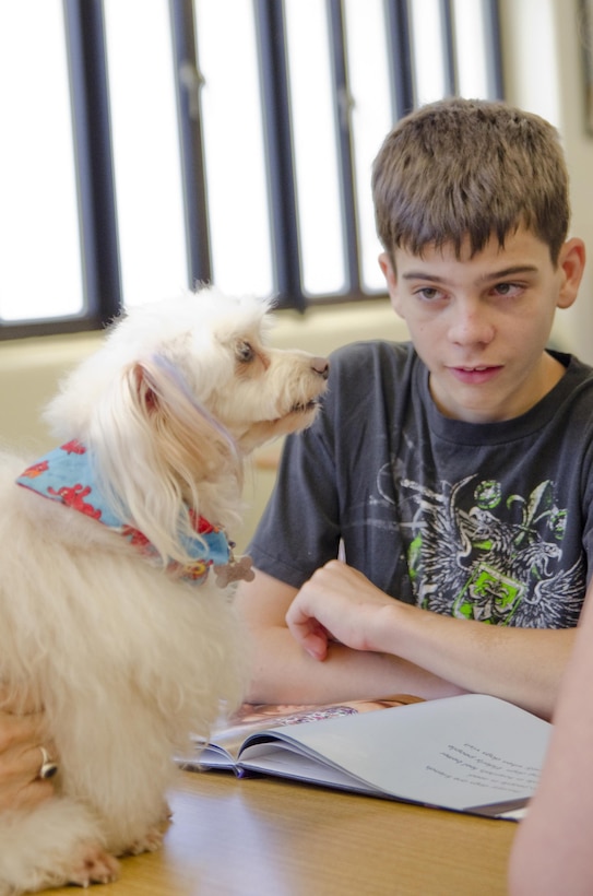 Alec Webb reads “Therapy Dogs” by Kimberly Hutmacher to Le‘a, a Maltese/poodle mix during the Reading to Dogs event at the base library, July 22, 2015. Le‘a is certified with the Reading Education Assistance Dogs program from Intermountain Therapy Animals, a nonprofit organization based in Salt Lake City. Le'a is also one of the therapy dogs from Tails of Aloha, a local nonprofit organization providing therapy dog visits island wide. (U.S. Marine Corps photo by Kristen Wong/Released)