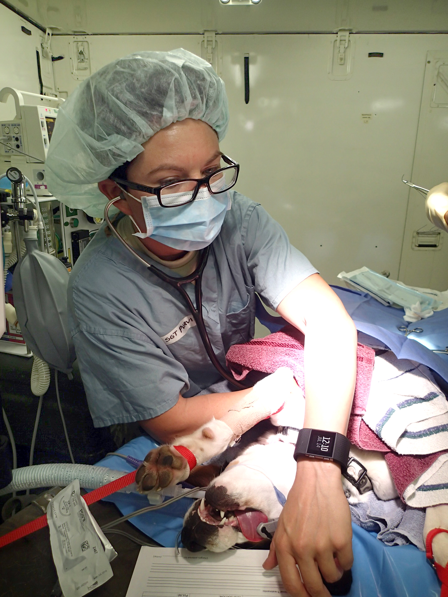 Army Sgt. Trisha Purvis provides care to local animals during Greater