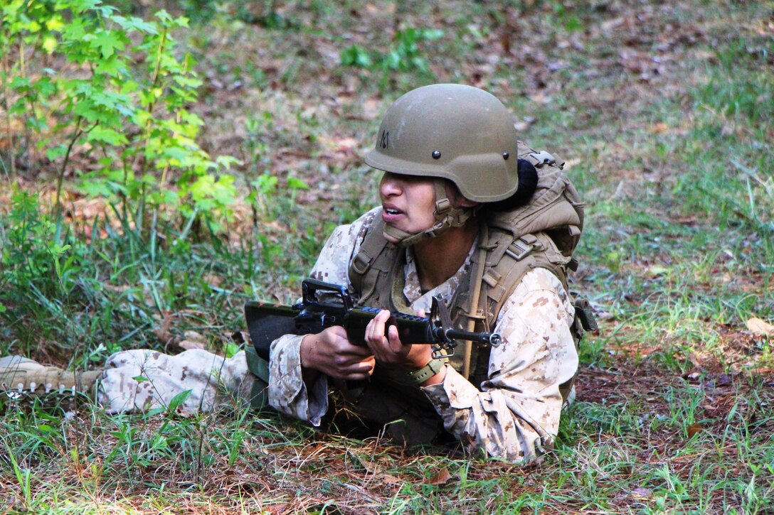 FMTB-E Training