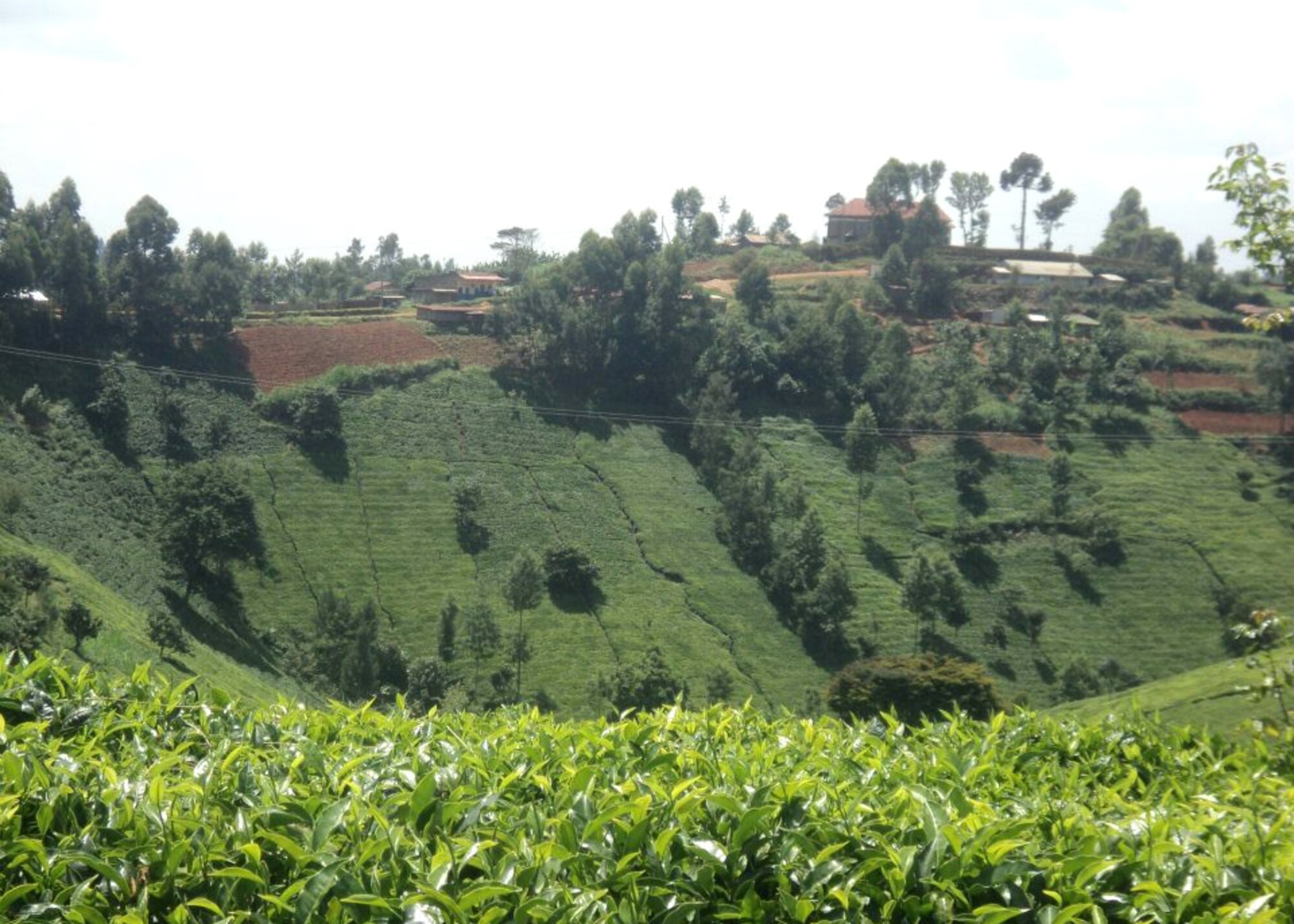 Staff Sgt. Johnson Njenga hails from Kenya and grew up tending to his family garden, much like the one pictured above, in order to cut costs and provide for his family. (Courtesy photo)