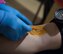 Petra Philips, Southern Region Blood Services technician, inserts a needle into U.S. Air Force Capt. Nicholas Gumley, 93rd Air Ground Operations Wing comptroller, during a blood drive July 22, 2015, at Moody Air Force Base, Ga. The collection technician cleans the area for 30 seconds and lets it dry before finding a vein to start the donation. (U.S. Air Force photo by Staff Sgt. Eric Summers Jr./Released)