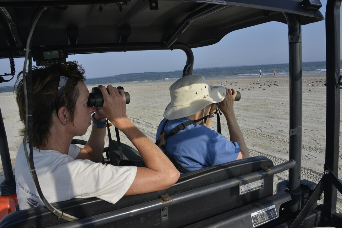 Ellie Covington, a biologist with U.S. Army Corps of Engineers Savannah District, and Sandy Beasley, a volunteer with U.S. Fish & Wildlife, count birds at Tybee Island, June 30. Savannah District biologists like Covington visit the island three times a month to monitor the number of birds following Tybee Island’s beach renournishment in December 2014. 