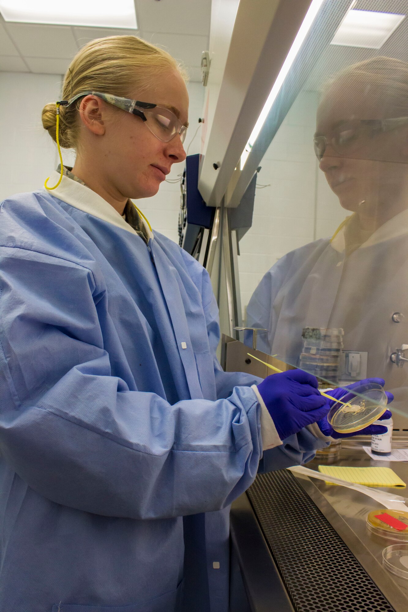 U.S. Air Force Academy cadet Stephanie Ohms, a biology major slated to graduate in 2016, prepares a petri dish with fungus and bacteria found in air samples from the interior of expeditionary shelters July 8 at the Air Force Civil Engineer Center at Tyndall Air Force Base, Florida. Ohms led  a project on air quality during a six-week internship with the AFCEC Readiness Directorate as part of the Cadet Summer Research Program. (U.S. Air Force photo/Jess Echerri/Released)