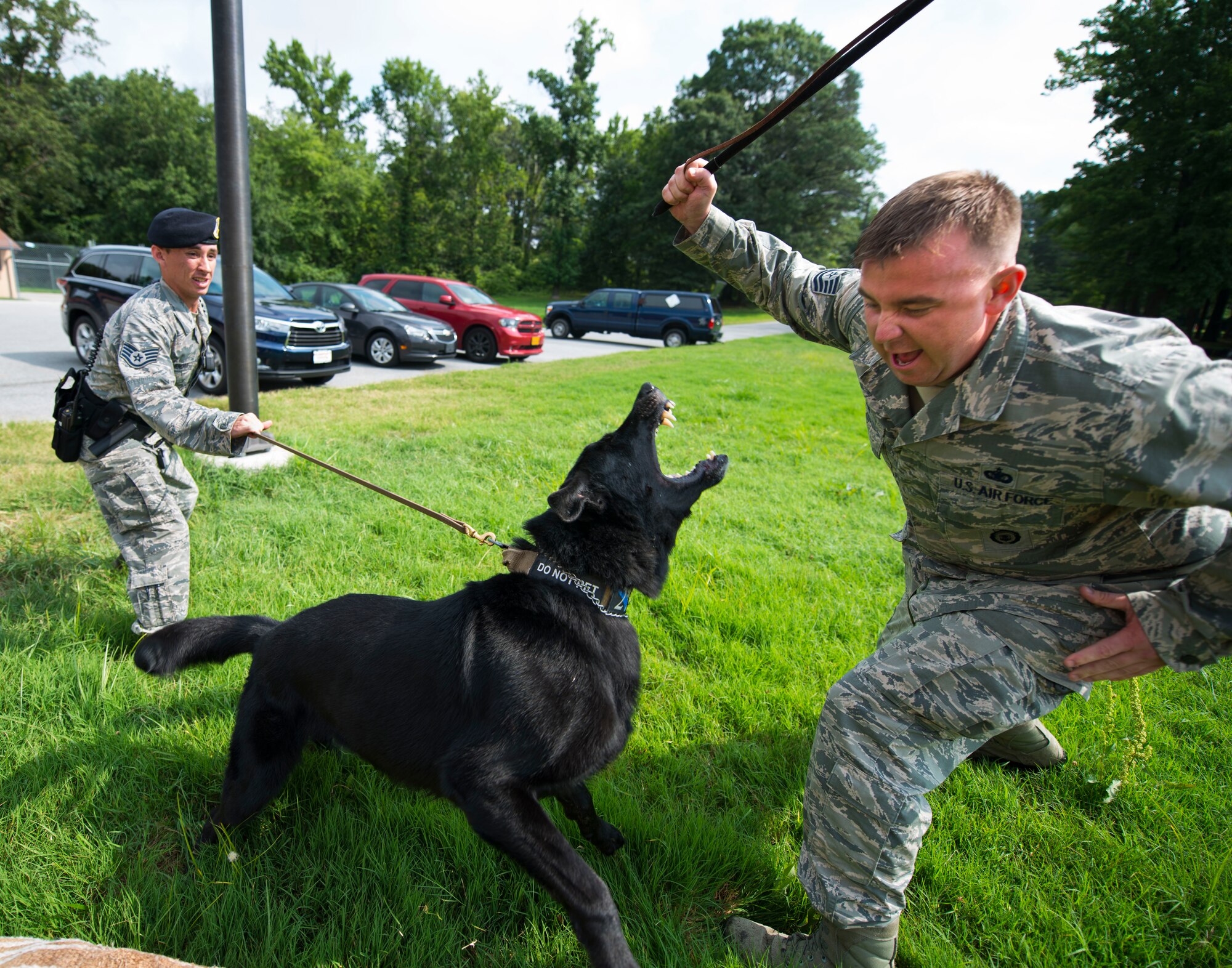 Tech. Sgt. Scott Heise, 11th Security Support Squadron military working dog handler, poses as a suspect while training a K-9 on controlled aggression techniques at Joint Base Andrews, Md., July 29, 2015. Military working dogs are trained to attack fleeing suspects, detect narcotics and explosives and conduct building searches. (U.S. Air Force photo by Staff Sgt. Chad C. Strohmeyer)(Released)