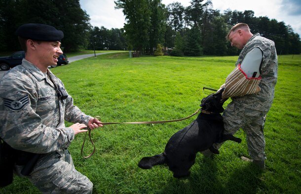 Staff Sgt. Tyler Hendrix, left, and Tech. Sgt. Scott Heise, right, 11th Security Support Squadron military working dog handlers, train "Dixi" on controlled aggression techniques at Joint Base Andrews, Md., July 29, 2015. Controlled aggression techniques are used to intimidate or "take down" a potential suspect. (U.S. Air Force photo by Staff Sgt. Chad C. Strohmeyer)(Released) 