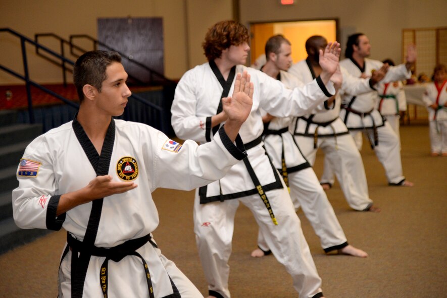 Pak’s Karate Academy members perform a martial arts act during the 7th Annual Multicultural Day event at Barksdale Air Force Base, La., July 24, 2015. The team performed board and brick breaking, proper form, and self-defense. (U.S. Air Force photo/Senior Airman Jannelle Dickey)