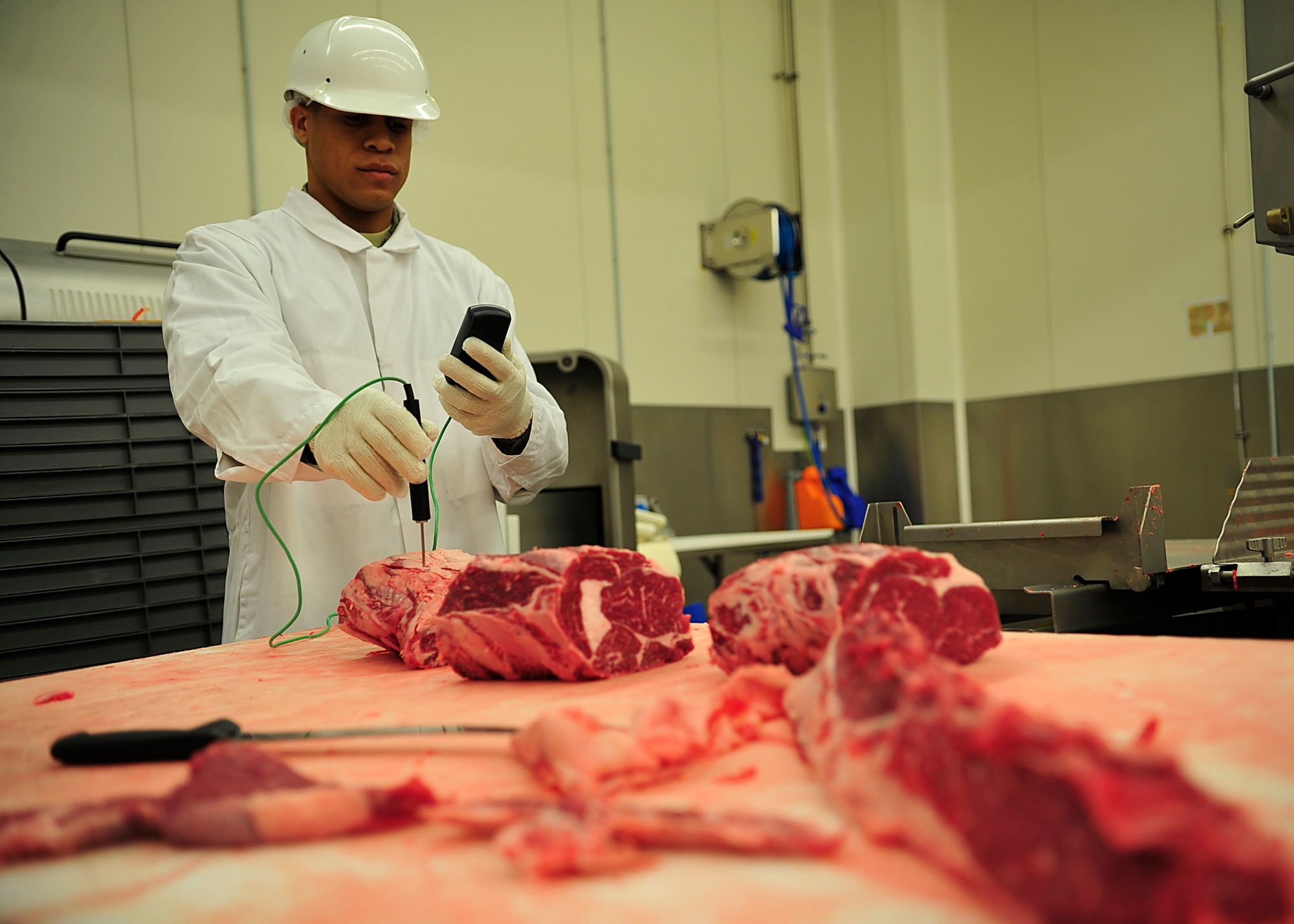 Senior Airman Allen R. Cherry III, 86th Aerospace Medicine Squadron Public Health technician, inspects bulks of meat to ensure it complies with the U.S. Department of Agriculture standards June 29, 2015, at Ramstein Air Base, Germany. Cherry was officially announced one of the 12 Outstanding Airmen of the Year on July 27. (U.S. Air Force photo/Airman 1st Class Larissa Greatwood)