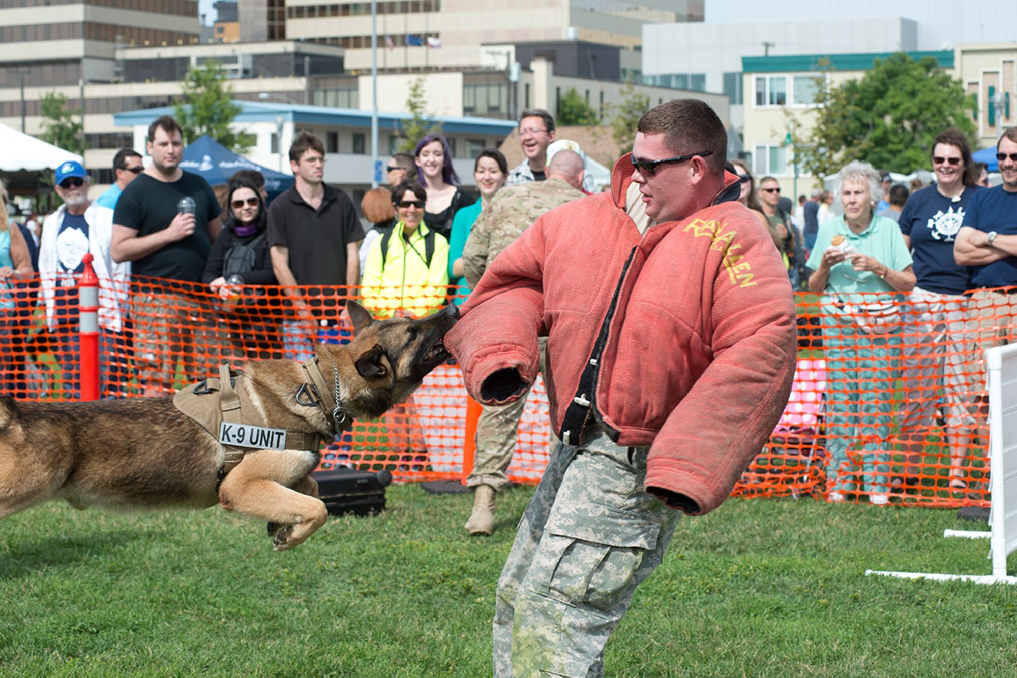 Spc. Scott Dille-Hayes is bitten by a military working dog during the festival. Dille-Hayes is an MWD handler for the 549th MWD Detachment, 1st Stryker Brigade Combat Team, 25th Infantry Division. (U.S. Air Force photo/Tech. Sgt. Robert Barnett)