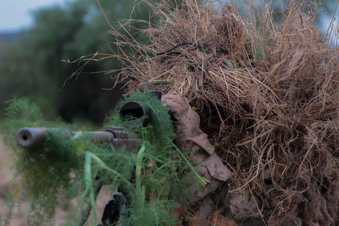 A Marine with 1st Marine Division, 7th Marine Regiment participates in stalking training aboard Marine Corps Base, Camp Pendleton, Calif., May 27, 2015. The training was the last event during Division School’s 6-week-long Pre-Scout Sniper Course. (Photo by LCpl. Danielle Rodrigues/Released)