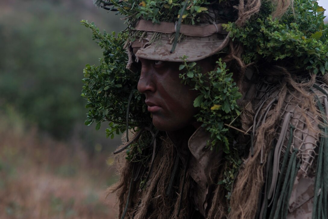 A Marine with 1st Marine Division, 7th Marine Regiment participates in stalking training aboard Marine Corps Base, Camp Pendleton, Calif., May 27, 2015. The training was the last event during Division School’s 6-week-long Pre-Scout Sniper Course. (Photo by LCpl. Danielle Rodrigues/Released)