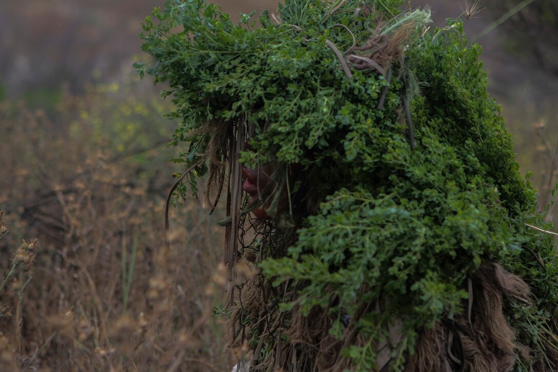 A Marine with 1st Marine Division, 7th Marine Regiment participates in stalking training aboard Marine Corps Base, Camp Pendleton, Calif., May 27, 2015. The training was the last event during Division School’s 6-week-long Pre-Scout Sniper Course. (Photo by LCpl. Danielle Rodrigues/Released)