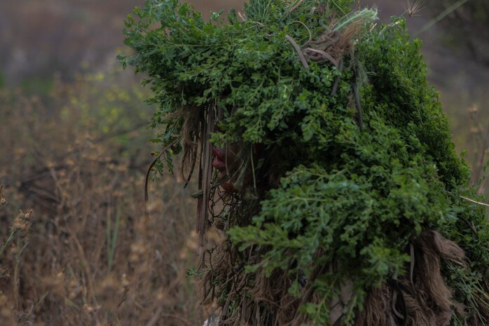 A Marine with 1st Marine Division, 7th Marine Regiment participates in stalking training aboard Marine Corps Base, Camp Pendleton, Calif., May 27, 2015. The training was the last event during Division School’s 6-week-long Pre-Scout Sniper Course. (Photo by LCpl. Danielle Rodrigues/Released)