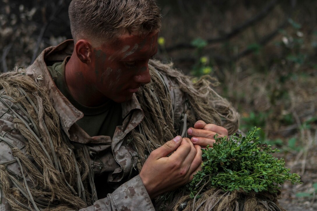 A Marine with 1st Marine Division, 7th Marine Regiment camouflages himself with vegetation while participating in stalking training aboard Marine Corps Base, Camp Pendleton, Calif., May 27, 2015. The training was the last event during Division School’s 6-week-long Pre-Scout Sniper Course. (Photo by LCpl. Danielle Rodrigues/Released)