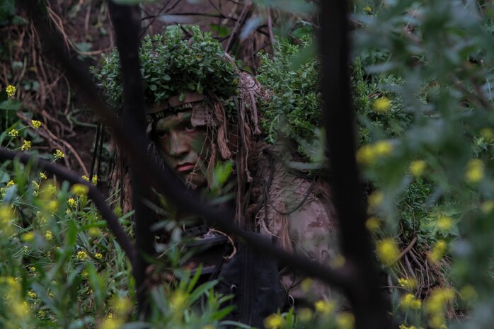 A Marine with 1st Marine Division, 7th Marine Regiment participates in stalking training aboard Marine Corps Base, Camp Pendleton, Calif., May 27, 2015. The training was the last event during Division School’s 6-week-long Pre-Scout Sniper Course. (Photo by LCpl. Danielle Rodrigues/Released)