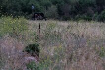 Instructors of Division School’s Pre-Scout Sniper Course search for their students aboard Marine Corps Base, Camp Pendleton, Calif., May 27, 2015. The six students are well camouflaged as they practice stalking. (Photo by LCpl. Danielle Rodrigues/Released)