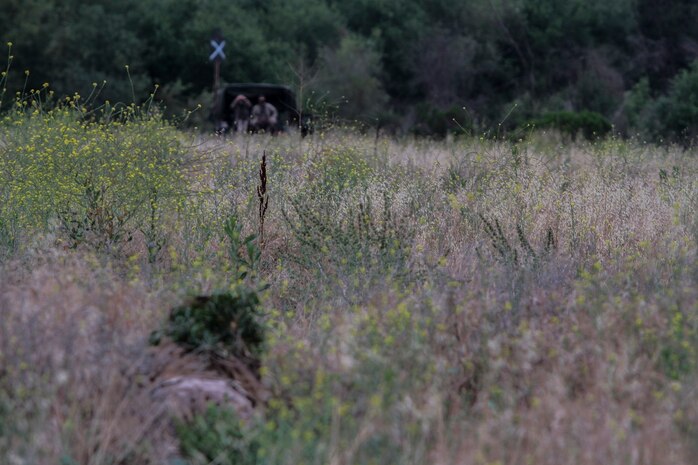 Instructors of Division School’s Pre-Scout Sniper Course search for their students aboard Marine Corps Base, Camp Pendleton, Calif., May 27, 2015. The six students are well camouflaged as they practice stalking. (Photo by LCpl. Danielle Rodrigues/Released)