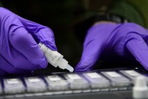 Staff Sgt. Steven Staab, 51st Aerospace Medicine Squadron NCO in charge of radiation, tests a biological sample during Operational Readiness Exercise Beverly Midnight 15-1 March 4, 2015, at Osan Air Base, Republic of Korea. The test is down to determine if the air where the sample was taken is contaminated with biological agents. (U.S. Air Force photo by Senior Airman Matthew Lancaster)