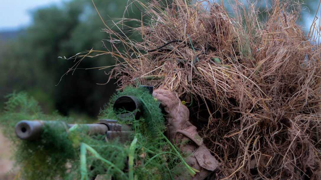 A Marine with 1st Marine Division, 7th Marine Regiment participates in stalking training aboard Marine Corps Base, Camp Pendleton, California May 27, 2015. The training was the last event during Division School’s 6-week-long Pre-Scout Sniper Course.