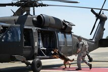 Senior Airman Justin Ricketts, 66th Security Forces Squadron military working dog handler, and MWD Frenky load a Mass. Army National Guard Blackhawk during Helicopter Emerging Training on the Hanscom flightline May 27. The first-of-its-kind training for the 66 SFS handlers simulated a combat environment for their canines to practice entering and exiting a helicopter. (U.S. Air Force photo by Linda LaBonte Britt)
