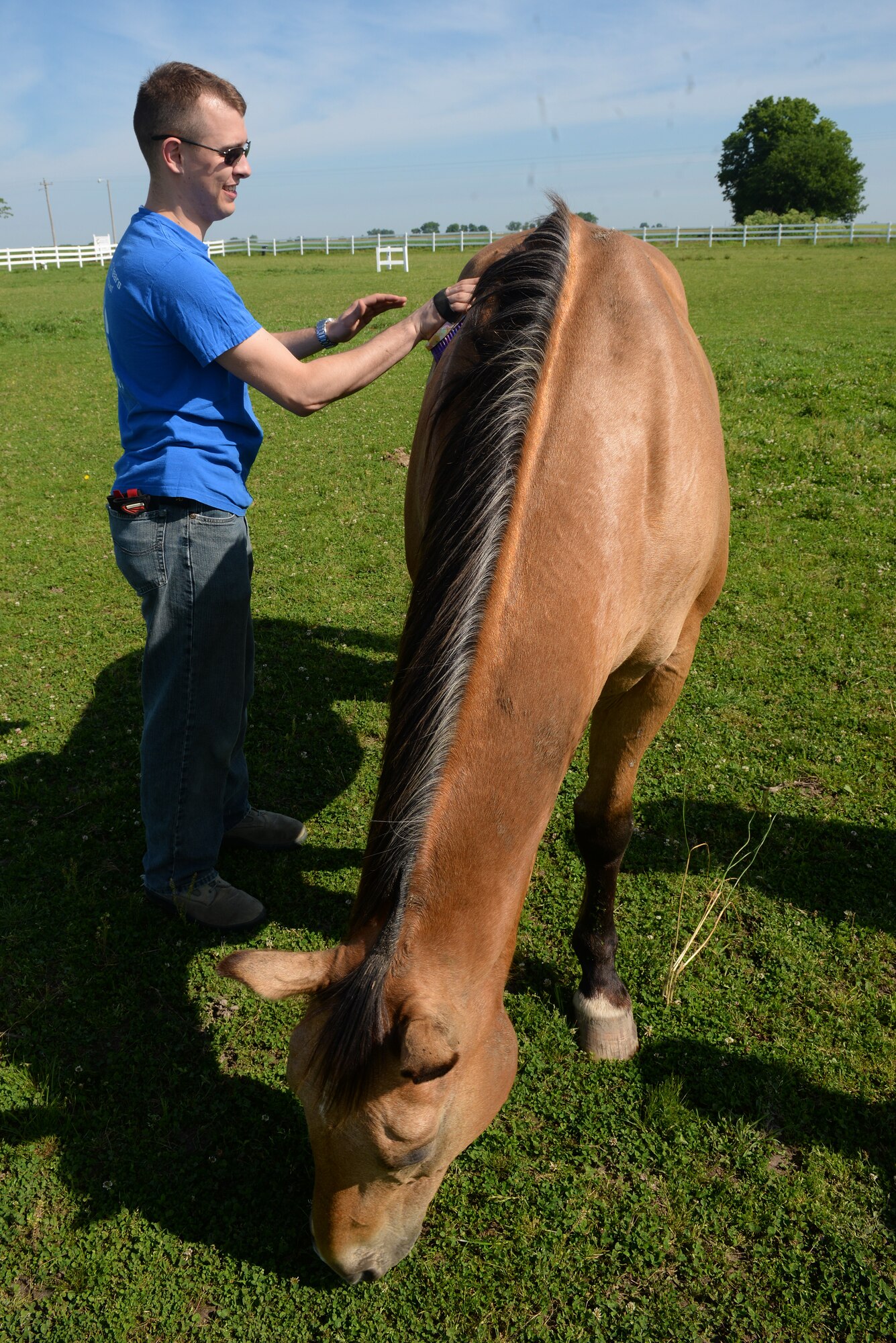 Senior Airman Anthony Carmignani, 375th Operations Support Squadron Air Traffic Controller, brushes one of the nine horses at Chakota, a therapeutic horseback riding center, Germantown, Illinois, May 28, 2015. He is part of a group of Airmen that gave their time to assist with making Chakota a better place for riders and their families. (U.S. Air Force photo by Airman 1st Class Erica Holbert-Siebert)
