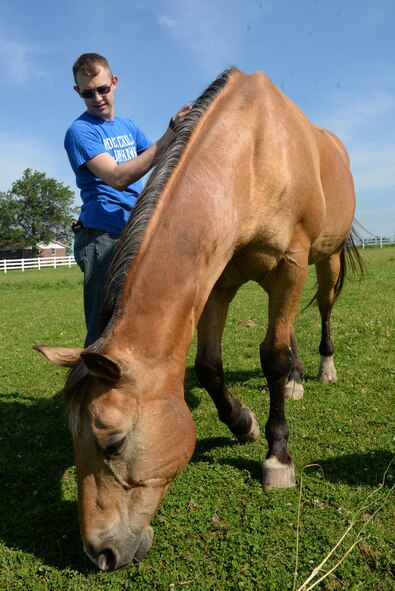Senior Airman Anthony Carmignani, 375th Operations Support Squadron Air Traffic Controller, brushes one of the nine horses at Chakota, a therapeutic horseback riding center, Germantown, Illinois, May 28, 2015. He is part of a group of Airmen that gave their time to assist with making Chakota a better place for riders and their families. (U.S. Air Force photo by Airman 1st Class Erica Holbert-Siebert)
