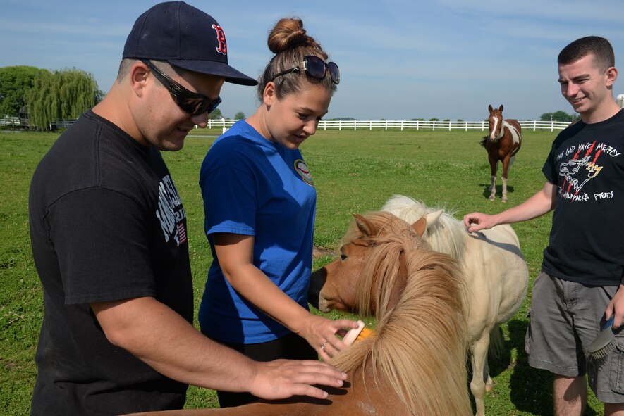 Senior Airman Joshua Rose, 375th Operations Support Squadron Air Traffic Controller, and his wife, Alyson Rose, brushes some of the nine horses at Chakota, a therapeutic horseback riding center, Germantown, Illinois, May 28, 2015. The Acushnet, Massachusetts natives have volunteered at Chakota before, bringing a group of Airmen with them to enhance the facility. (U.S. Air Force photo by Airman 1st Class Erica Holbert-Siebert)
