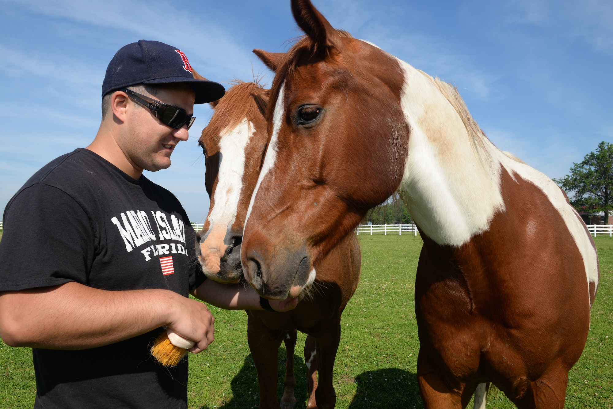 Senior Airman Joshua Rose, 375th Operations Support Squadron Air Traffic Controller, brushes some of the nine horses at Chakota, a therapeutic horseback riding center, Germantown, Illinois, May 28, 2015. The Acushnet, Massachusetts native has volunteered at Chakota before, bringing a group of Airmen with him to enhance the facility. (U.S. Air Force photo by Airman 1st Class Erica Crossen)