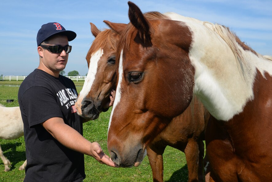 Senior Airman Joshua Rose, 375th Operations Support Squadron Air Traffic Controller, brushes some of the nine horses at Chakota, a therapeutic horseback riding center, Germantown, Illinois, May 28, 2015. The Acushnet, Massachusetts native has volunteered at Chakota before, bringing a group of Airmen with him to enhance the facility. (U.S. Air Force photo by Airman 1st Class Erica Crossen)