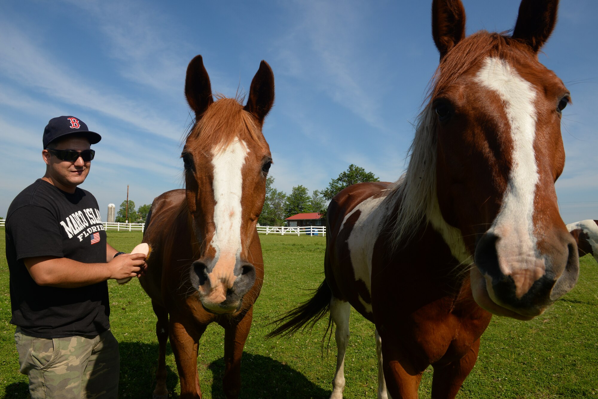 Senior Airman Joshua Rose, 375th Operations Support Squadron Air Traffic Controller, brushes some of the nine horses at Chakota, a therapeutic horseback riding center, Germantown, Illinois, May 28, 2015. The Acushnet, Massachusetts native has volunteered at Chakota before, bringing a group of Airmen with him to enhance the facility. (U.S. Air Force photo by Airman 1st Class Erica Crossen)