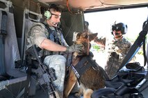 Senior Airman Justin Ricketts, 66th Security Forces Squadron military working dog handler, and MWD Frenky get acclimated to a Mass. Army National Guard Blackhawk during Helicopter Emerging Training on the Hanscom flightline May 27 as Army National Guard Sgt. Rich Sokoloski, 126th Aviation Regiment crew chief, looks on. The first-of-its-kind training for the 66 SFS handlers simulated a combat environment for their canines to practice entering and exiting a helicopter. (U.S. Air Force photo by Linda LaBonte Britt)