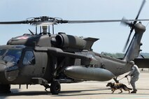 Staff Sgt. Joshua Wood, 66th Security Forces Squadron military working dog handler, and MWD Peta approach a Mass. Army National Guard Blackhawk during Helicopter Emerging Training on the Hanscom flightline May 27. The MWD teams simulated a combat environment for the canines to acclimate them to the sensation of flying in a helicopter. (U.S. Air Force photo by Linda LaBonte Britt)