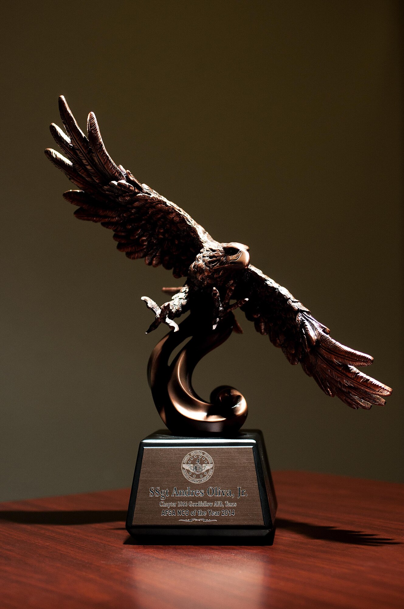 The Air Force Sergeant Association NCO of the Year award for division four sits on display at the 316th Training Squadron dormitories on Goodfellow Air Force Base, Texas, May 6, 2015. AFSA represents its 100,000 members by advocating for their interests to America’s elected and military leaders. As a federally chartered Veteran Service Organization, AFSA is able to lobby on Capitol Hill on behalf of its members. (U.S. Air Force photo by Senior Airman Scott Jackson/Released)