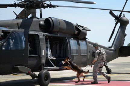 Senior Airman Justin Ricketts, 66th Security Forces Squadron military working dog handler, and MWD Frenky load a Massachusetts Army National Guard Black Hawk during Helicopter Emerging Training on the Hanscom flightline May 27, 2015. The first-of-its-kind training for the 66 SFS handlers simulated a combat environment for their canines to practice entering and exiting a helicopter. 