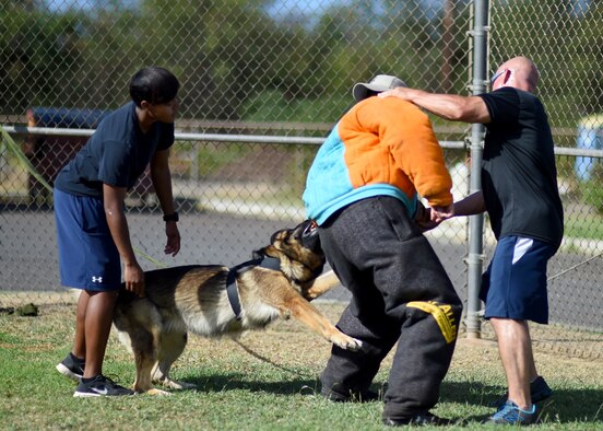 U.S. Army Staff Sgt. Jeremy Coleman, a 520th Military Working Dog Detachment handler from Schofield Barracks, Hawaii, practices being a decoy for Bari, a Joint Base Pearl Harbor-Hickam, Hawaii, Security Forces MWD, as (left) U.S. Navy Master at Arms One Maura Johnson, lead petty officer for the JBPHH Security Forces MWD, takes instruction from Fanco Angelini, MWD decoy instructor, during handler decoy training at Ke Kula Maka'i Police Academy, Hawaii, June 3, 2015. The decoy is a MWD handler who wears a personal protective suit allowing the dog to practice subduing a suspect in the correct way. Throughout the training MWD handlers from the Air Force, Navy, Army, and Marines would rotate as the decoy, putting their new skills to the test. (U.S. Air Force photo by Tech. Sgt. Aaron Oelrich/Released) 