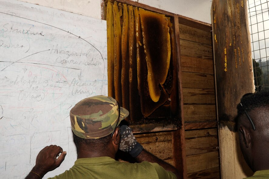 Papua New Guinea Defence Force electricians pull open a wooden panel to install an electrical box and discover a wall-sized beehive during Pacific Angel 15-4 in Gahuku Primary School at the Eastern Highlands Providence, Papua New Guinea, June 2, 2015. Pacific Angel is a U.S Pacific Command multilateral humanitarian assistance civil military operation, which improves military-to-military partnerships in the Pacific while also providing medical health outreach, civic engineering projects and subject matter exchanges among partner forces. (U.S. Air Force photo by Staff Sgt. Marcus Morris/Released)