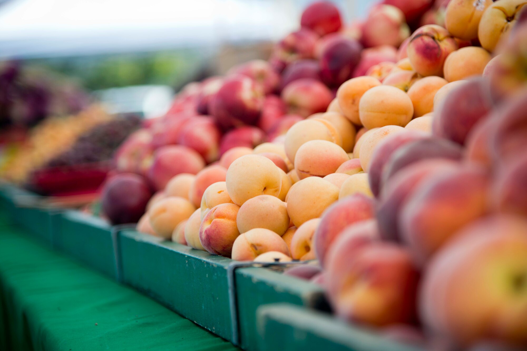 Peaches sit, waiting to be picked up before the start of the first Farmers’ Market on Travis Air Force Base, California. Farmers from the Pacific Coast Farmers’ Market Association brought their produce to the Travis Bowl parking lot June 2, 2015. The famers markets will run every Tuesday from 10 a.m. to 2 p.m. in June. (U.S. Air Force photo/Senior Airman Nicole Leidholm)