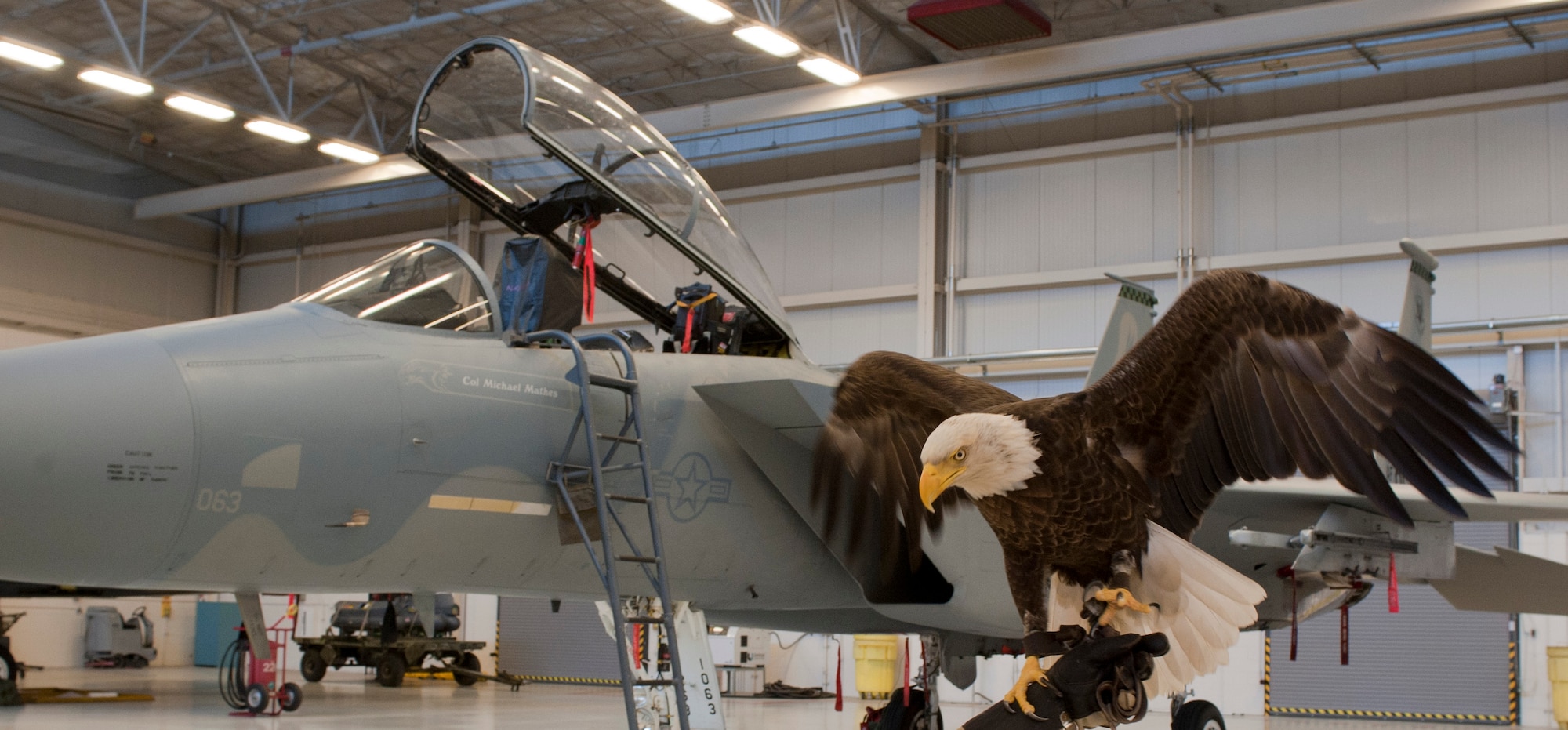 Challenger, a bald eagle, poses in front of an F-15 Eagle at the 757th Aircraft Maintenance Squadron’s Eagle Aircraft Maintenance Unit on Nellis Air Force Base, Nev., May 29, 2015. Challenger was declared a non-releasable bald eagle in 1989 due to human imprinting at a young age. (U.S. Air Force photo by Airman 1st Class Mikaley Towle)