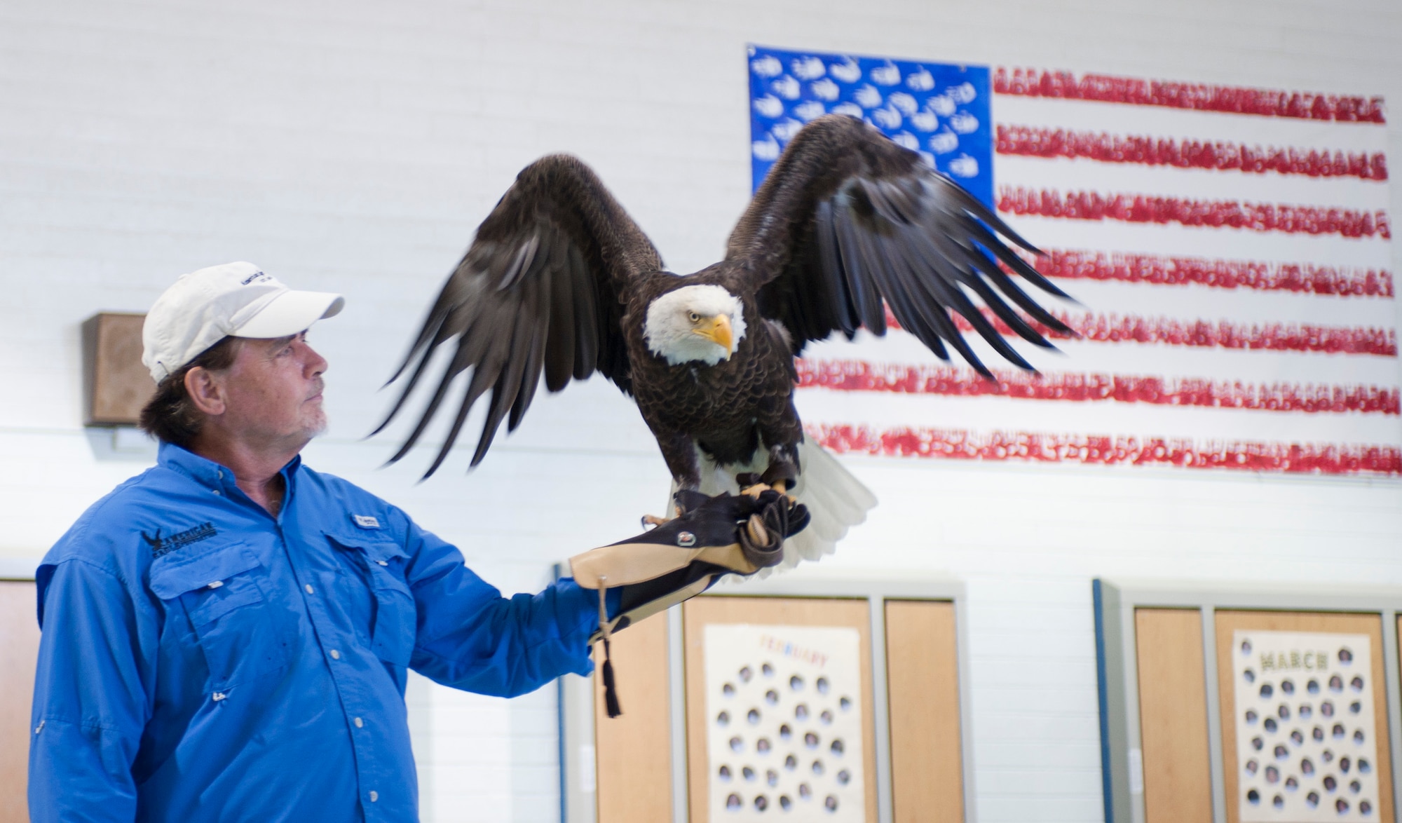 Al Cecere, founder, president and CEO of the American Eagle Foundation, holds Challenger, a bald eagle, during a flying demonstration at Lomie G. Heard Elementary School on Nellis Air Force Base, Nev., May 29, 2015. Cecere has spent the past 27 years traveling throughout the U.S. educating millions of people about the need to save and protect the U.S.’s national bird. (U.S. Air Force photo by Airman 1st Class Mikaley Towle)