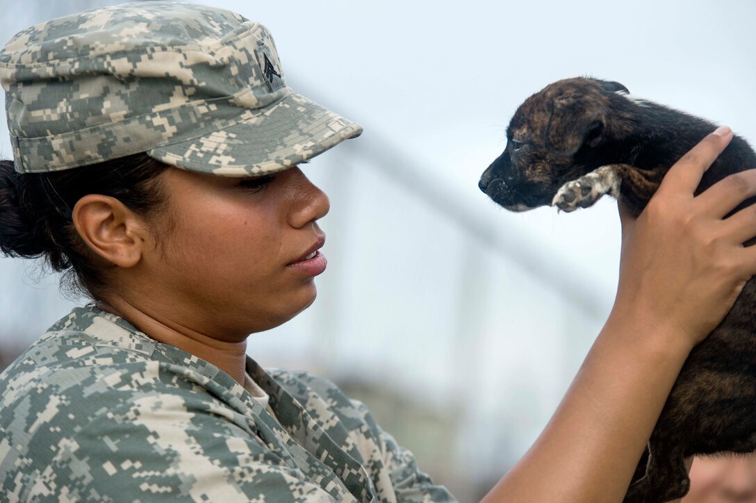 U.S. Army Sgt. Janina Alaniz examines a puppy during a Continuing Promise 2015 veterinary event at the Roberto Mariano Bula sports complex in Colon, Panama, June 2, 2015.