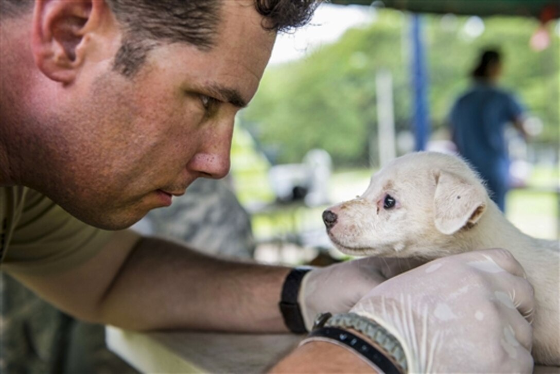 U.S. Army Staff Sgt. Thomas Worley examines a puppy during a Continuing Promise 2015 veterinary event in Colon, Panama, June 2, 2015. Worley is assigned to the Army's 10th Mountain Division. U.S. Southern Command sponsors the deployment to conduct humanitarian operations and other civil-military missions in partner nations, and show U.S. support and commitment to Central and South America and the Caribbean. 