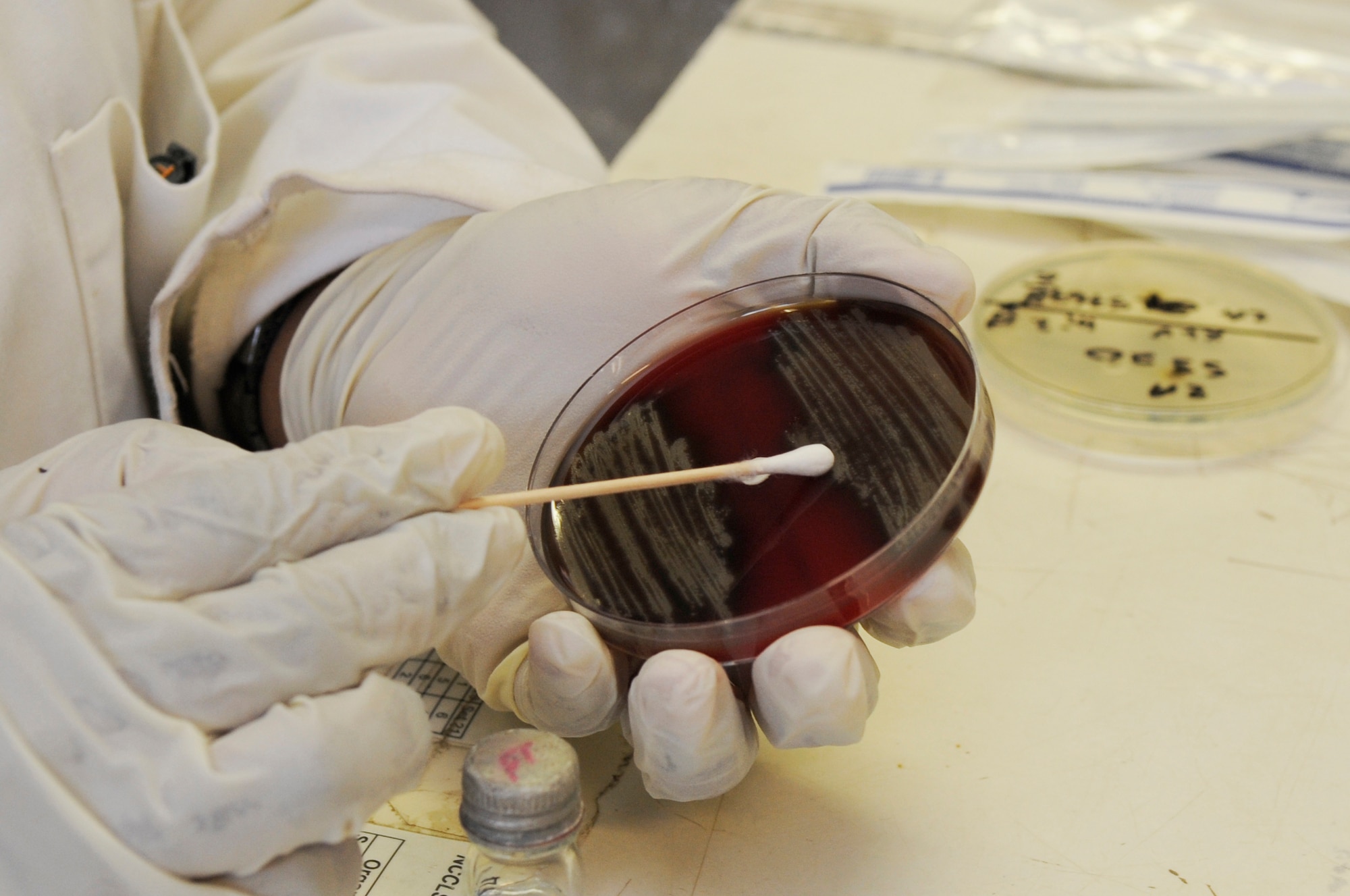 A bacteriology researcher at the Institute of Medical Research swabs an isolated sample of streptococcus pneumonia in Goroka, Papua New Guinea, June 4, 2015. The researcher is testing the bacteria to determine if the strain has sensitivity to antibiotics or if it is resistant. Efforts undertaken during Pacific Angel help multilateral militaries in the Pacific improve and build relationships across a wide spectrum of civic operations, which bolsters each nation???s capacity to respond and support future humanitarian assistance and disaster relief operations. (U.S. Air Force photo by Staff Sgt. Marcus Morris/Released)