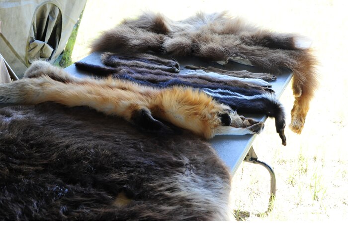 Educational activity tents included animal pelts brought by the 341st Civil Engineering Squadron during National Fishing and Boating Week, Jun. 6, 2015, at Pow Wow Park, Malmstrom Air Force Base, Mont. All children at Kids Fishing Day had the opportunity to receive lures, bobbers and temporary fish tattoos. (U.S. Air Force photo/2nd Lt. Annabel Monroe)